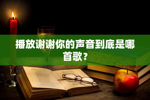 播放谢谢你的声音到底是哪首歌？