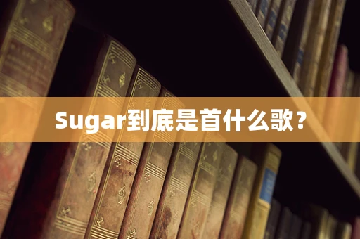 Sugar到底是首什么歌？