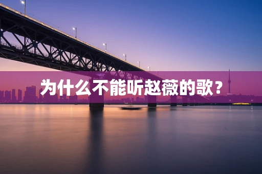 为什么不能听赵薇的歌？