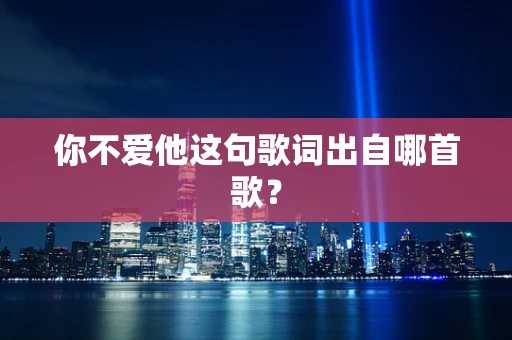 你不爱他这句歌词出自哪首歌？