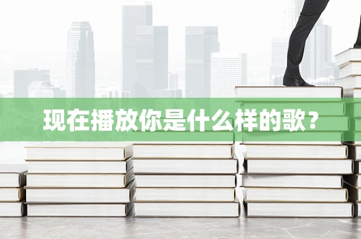 现在播放你是什么样的歌？
