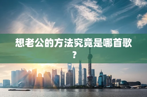 想老公的方法究竟是哪首歌？