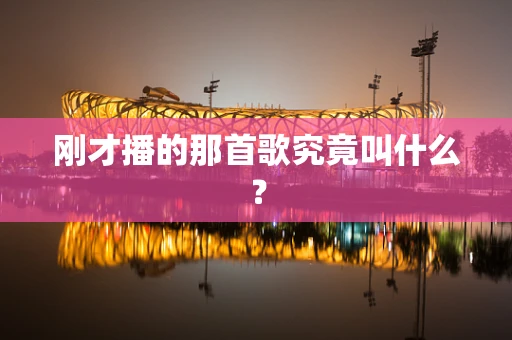 刚才播的那首歌究竟叫什么？