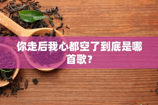 你走后我心都空了到底是哪首歌？