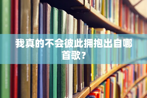 我真的不会彼此拥抱出自哪首歌？
