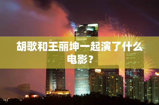 胡歌和王丽坤一起演了什么电影？