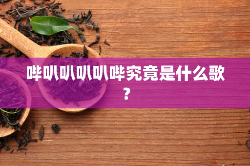 哔叭叭叭叭哔究竟是什么歌？