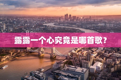 露露一个心究竟是哪首歌？
