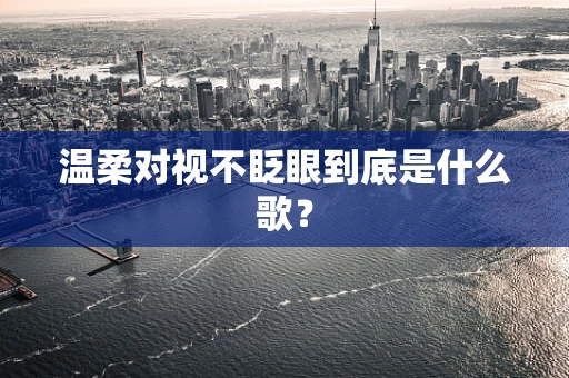 温柔对视不眨眼到底是什么歌？