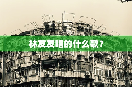 林友友唱的什么歌？