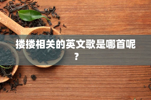 搂搂相关的英文歌是哪首呢？
