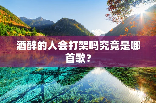 酒醉的人会打架吗究竟是哪首歌？