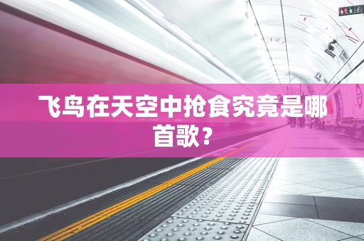 飞鸟在天空中抢食究竟是哪首歌？