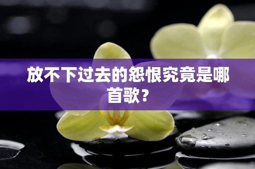 放不下过去的怨恨究竟是哪首歌？