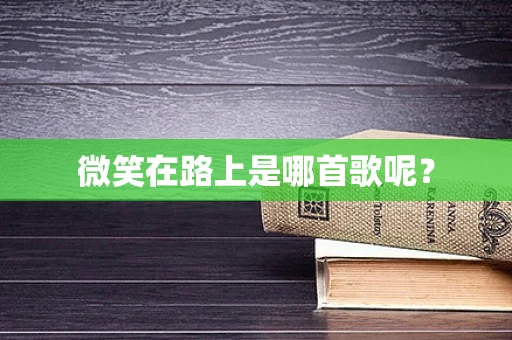微笑在路上是哪首歌呢？