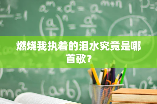 燃烧我执着的泪水究竟是哪首歌？