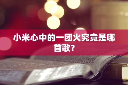 小米心中的一团火究竟是哪首歌？