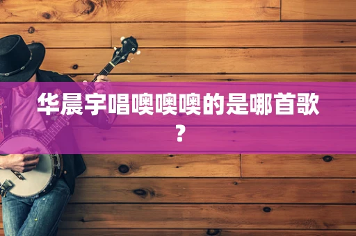 华晨宇唱噢噢噢的是哪首歌？