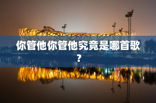 你管他你管他究竟是哪首歌？