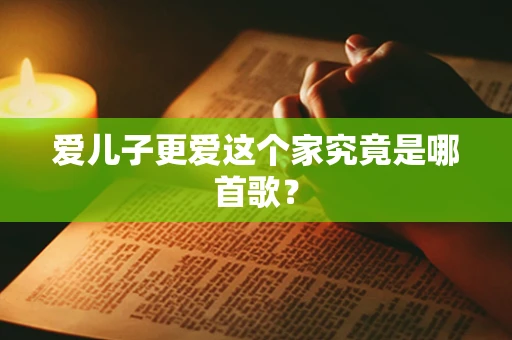 爱儿子更爱这个家究竟是哪首歌？