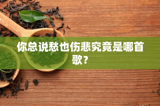你总说愁也伤悲究竟是哪首歌？