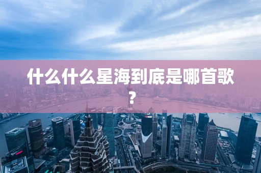 什么什么星海到底是哪首歌？