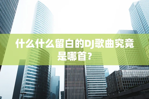 什么什么留白的DJ歌曲究竟是哪首？