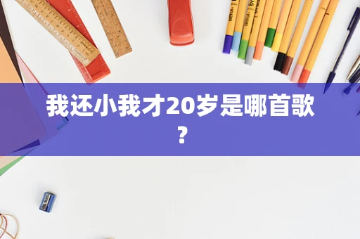 我还小我才20岁是哪首歌？