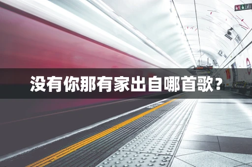 没有你那有家出自哪首歌？