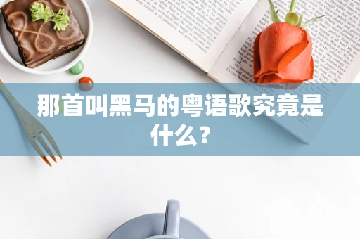 那首叫黑马的粤语歌究竟是什么？
