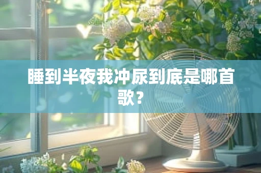 睡到半夜我冲尿到底是哪首歌？