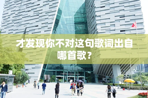 才发现你不对这句歌词出自哪首歌？
