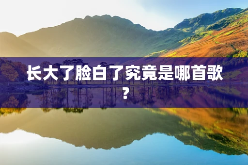 长大了脸白了究竟是哪首歌？