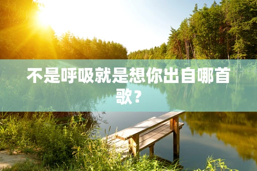 不是呼吸就是想你出自哪首歌？