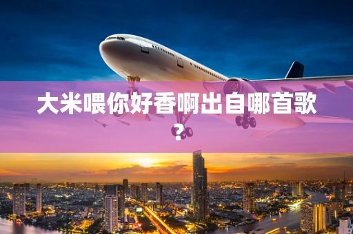 大米喂你好香啊出自哪首歌？