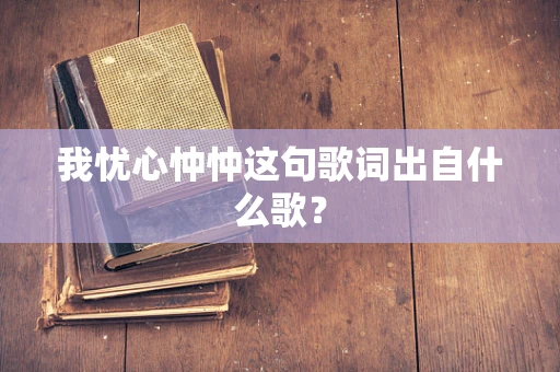 我忧心忡忡这句歌词出自什么歌？