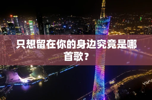 只想留在你的身边究竟是哪首歌？