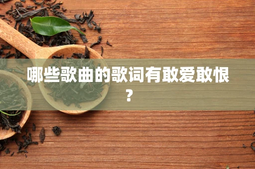 哪些歌曲的歌词有敢爱敢恨？