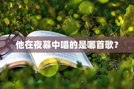 他在夜幕中唱的是哪首歌？