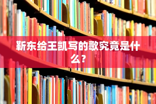 靳东给王凯写的歌究竟是什么？