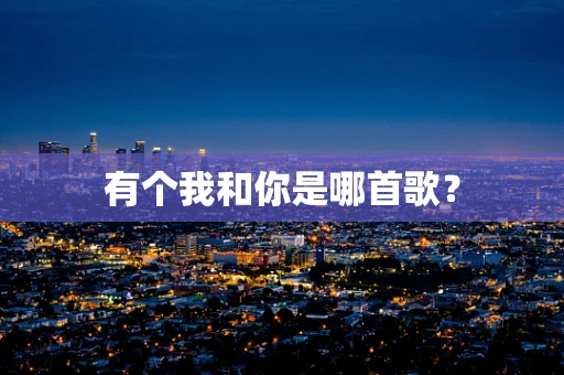 有个我和你是哪首歌？