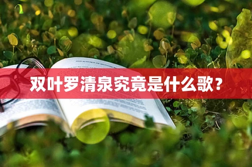 双叶罗清泉究竟是什么歌？