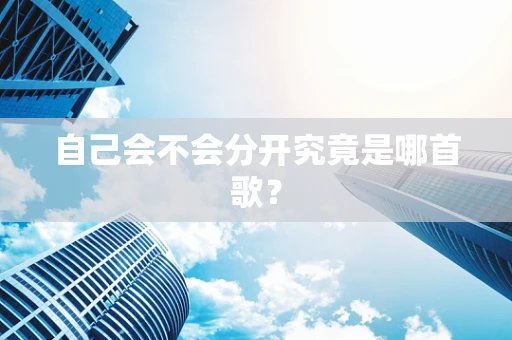 自己会不会分开究竟是哪首歌？