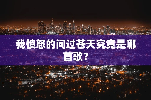 我愤怒的问过苍天究竟是哪首歌？