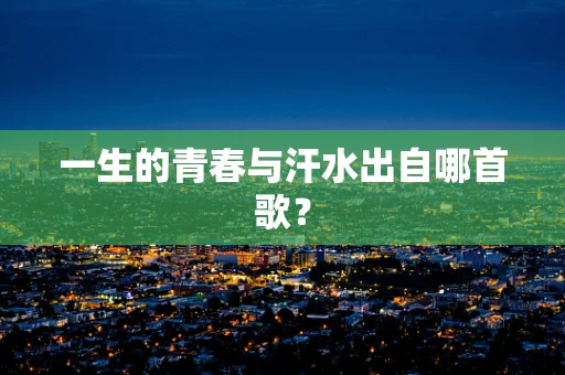 一生的青春与汗水出自哪首歌？