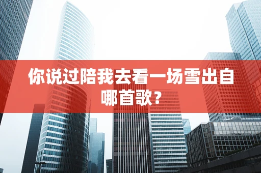 你说过陪我去看一场雪出自哪首歌？
