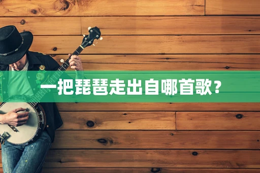 一把琵琶走出自哪首歌？