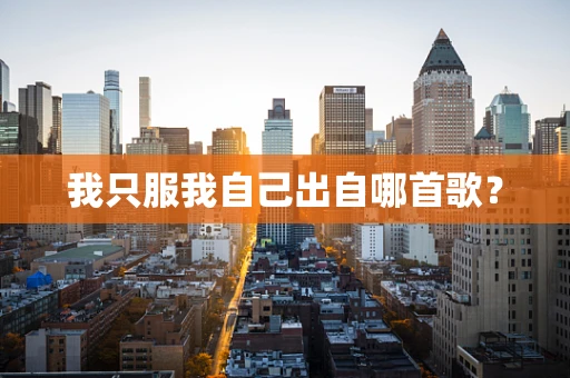 我只服我自己出自哪首歌？