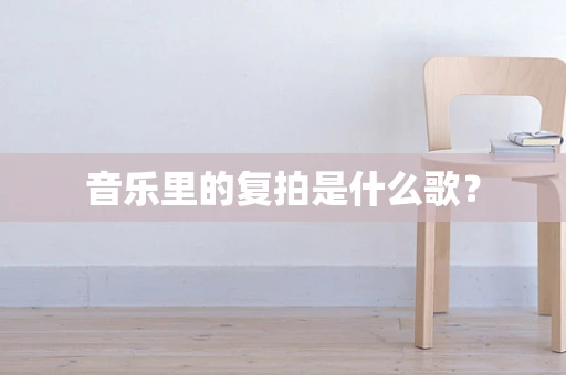 音乐里的复拍是什么歌？