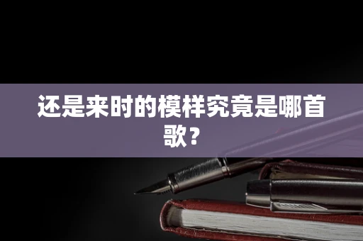 还是来时的模样究竟是哪首歌？
